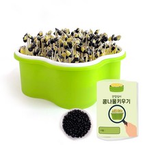 초간단 콩나물 키우기 키트(관찰일지포함), 1개