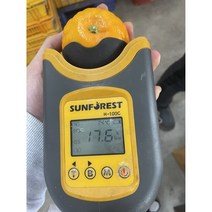 탐라인 제주 신품종 설국향 수라향 5kg, 1box