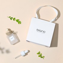 블랑16 차량용 차안 냄새제거 천연 디퓨저 방향제 새차 신차 선물 세트, 자몽