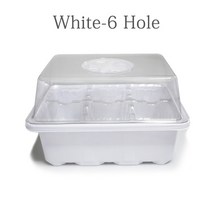 수태봉 콩나물키우기 딸기 수경 재배 조정 가능한 환기 덮개가있는 612 구멍 묘목 상자 종자 심기 상자 원예 수경 시스템 트레이 보육 화분, 화이트 6홀