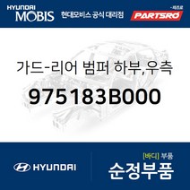 가드-리어 범퍼 하부 우측 (975183B000) 에쿠스 현대모비스부품몰