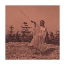 언노운 모탈 오케스트라 Unknown Mortal Orchestra II LP 음반 바이닐 레코드 앨범