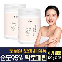 락토페린 분말 가루 다이어트 체지방감소 모로실 블러드오렌지 레몬밤 와일드망고 그린빈 농축 추출물 남자 여자 뱃살 복부 내장지방 옆구리 등 이중턱 허벅지 안쪽살 빼는 방법 식품 추천, 120g X 2개