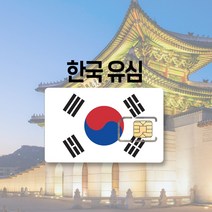 한국 유심 LTE 완전무제한 7일 30일 국내 KT SK 여행 출장 선불 유심칩, SKT KT 매일 1.5GB, 13일