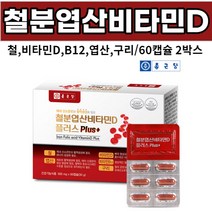 종근당 철분 엽산 비타민D 비타민b12 구리 푸마르산제일철 글루콘산동 헴철 엽산, 02개(4개월), 500mgX60캅셀