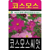 [워터트리몰] 코스모스씨앗(20g) 채소 꽃 종자 재배 씨앗 허브 나무 (A)