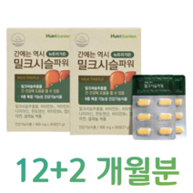 밀크시슬 밀크씨슬 실리마린 간 건강 도움 하루한알 홈쇼핑 프리미엄 영양제 성분 가격 효능 비교 식약처 인정 건강 기능 식품 아버지 아빠 할아버지 간 건강 케어, 7박스, 900mg x 60정 (하루 1정)
