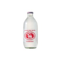 싱하소다 탄산수(병) 325ml x 24ea