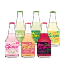 26도라인 준 콤부차 275ml X 6병 세트(모든 맛)