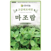 벨가못 1000립 - 버가못 오스웨고티 미국박하 허브 허브씨 허브씨앗 씨 씨앗 벨가못씨앗 벨가못씨 꽃씨 꽃씨앗, 16_다농_마조람(0.5g)
