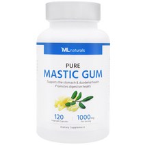 [미국번개배송] 착한명품 마이라이프 내추럴스 매스틱검 1000mg 120정 3병
