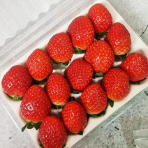 담양딸기 선물 특대과 대과 달콤한 딸기1kg 500g, 딸기특대과1kg