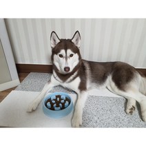 강아지 급체 방지 식기 노즈워크 반려견 식습관 개선 훈련 소형 대형 사료 밥그릇, 하트기둥, 블루