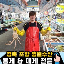 영일수산 포항 구룡포 활 대게 3마리 5마리, 05_활대게(특대)3마리