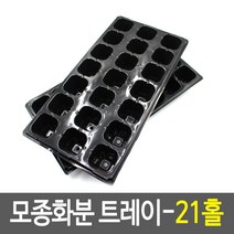 농작물 모종 새싹 물빠짐 받침대 모종화분 트레이 21홀