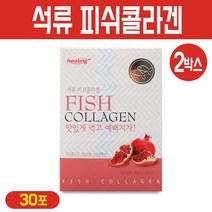 석류콜라겐 프리미엄 뷰티블 저분자 피쉬콜라겐 분말 어류 생선 비늘 콜라겐 펩타이드 가루 스틱 먹는 이너뷰티 히알루론산 비타민C, 2Ea, 석류 피쉬콜라겐 30포