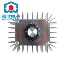 고출력 전자조압기 5000W 220V 밴드 케이스