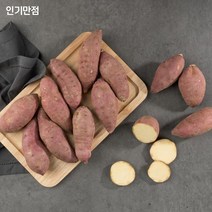 인기만점 해남 꿀고구마, 10kg 한입