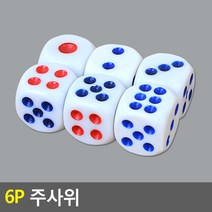 6p 주사위