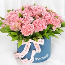 전국당일도착 카네이션 꽃바구니 생화 화분 꽃다발 선물 어버이날 스승의날 당일 꽃배달 서비스 (99플라워), 06.[B490]-언제나내편 핑크카네이션