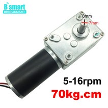 Bringmart DC 24v A58SW31ZY 12v 웜 기어드 모터 1.6-70kg.cm 높은 토크 7-470rpm D 샤프트 전기 감속기 터, 09 24v 5rpm_05 Package P