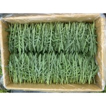 당일수확한 와일드 루꼴라1kg, 1kg, 1개