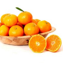 [올레돌밭농원] 23년 제주직송 햇 하우스감귤 1.5kg 2.5kg 4.5kg 가정용, 4.5Kg (소과), 1개