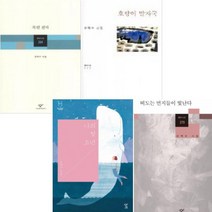 손택수 베스트 시집 [전4권] 나의 첫 소년 떠도는 먼지들이 빛난다 목련 전차 호랑이 발자국