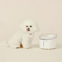 페페 스마트 UV살균정수기 CW-100, 단일옵션