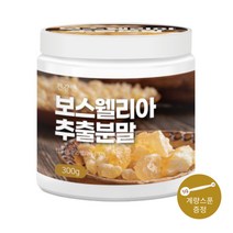 보스웰리아 100% 고농축 고함량 추출 분말 가루 인도산 관절 연골 무릎 허리 손목 어깨 관절 추천, 보스웰리아 1개(3개월분), 300g, 1개