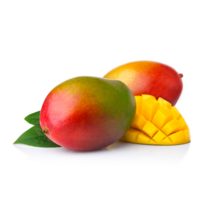 수입산 애플망고 1kg 망고스틴 냉동망고 냉장망고, 1.5kg