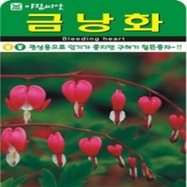 AR 금낭화(20립) 2019년 귀한 종자 씨앗