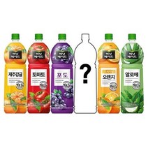 코카콜라 미닛메이드 1.5 제주감귤 토마토 포도 오렌지 알로에 5종 + 랜덤 1pet 증정 럭키박스 랜덤박스 음료수 골라담기, 6pet
