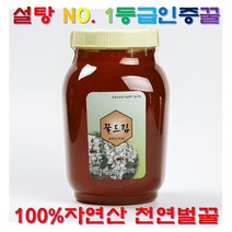 천연벌꿀 자연산 야생화 아카시아 벌꿀 꿀 2.4kg 14+1 야생화꿀 자연산꿀 국산꿀 천연꿀 진짜꿀 양봉꿀 밤 토종 농협 꿀 소동위원소비 아브시스산 설탕NO 추석 설 꿀 선물세트, 1병
