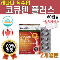[사은품] 캐나다 직수입 프리미엄 코큐텐 코큐10 코큐비 플러스 식약처 인증 비타민 영양제 1개 1박스 약 2개월 60캡슐 100 mg 코엔자임 코엠자이 큐텐 Q10 비타 민 고급