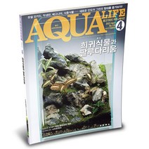 아쿠아라이프 2023년 4월호 _ 희귀식물과 팔루다리움