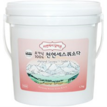 샤본다마 자연에서 담아온 오가닉 세스퀴소다, 1.7kg, 2개