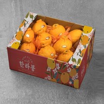 제주 한라봉, 1개, 실속 11kg