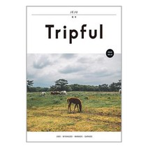 이지앤북스 Tripful 트립풀 제주 (마스크제공), 단품, 단품