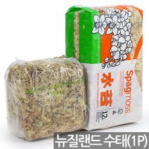 프리미엄 뉴질랜드 수태 1P - 모스 천연 호접란 난 란 동양 서양 풍란 석부작 토피어리 이끼, 02_Sein_뉴질랜드수태(150g)
