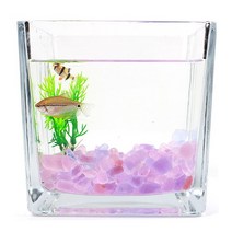 핑크 퍼플 컬러 돌 유리 자갈 250g 어항 꾸미기 구피 알비노폴레드구피 금붕어키우기 미니어항 베타어항 물멍, 믹스퍼플돌