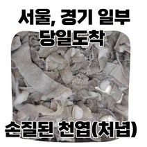 (당일도착) 손질 세척 절단완료 한우 천엽 처녑 600g 냉장 가정용, 1개