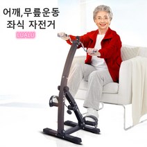 좌식 재활 자전거 실내 재활용 사이클 실내용 무릎 하체 운동 헬스 싸이클 Esyuse 증정, 고급형
