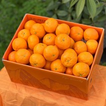[당도선별과] 제주 카라향 선물용 가정용, c. 5kg(프리미엄사이즈), 1개