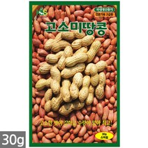 서리태 씨앗 30g - 콩 씨 청약콩 검은콩 쥐눈이콩 서리태씨앗 콩 검정콩씨앗 검은콩씨앗 콩씨앗 서리태씨 검은콩씨 주말농장 텃밭, 01_고소미땅콩(30g)