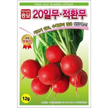 무씨앗 20일무 적환무(12g), 1개