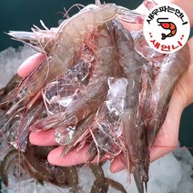 23년 출하 국내산 활새우1kg (25~29미) 새언니 국내산 신안새우 생새우 왕새우 대하 흰다리새우 새우소금구이 캠핑새우 제철수산물 shrimp, 1개, 1kg