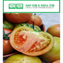대저 농협인증 산지 직송 수확 부산 대저 짭짭이 토마토 2.5kg, 1개
