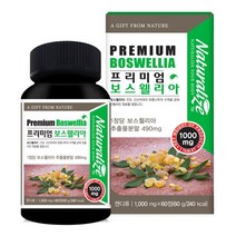 보스웰리아 관절 보스웰릭산 원물 추출분말 가루 정 알약타입 해조칼슘 초록입홍합 상어연골 무릎관절 인도산 보스웰리아효능 해썹 인증, 보스웰리아 60정   1통