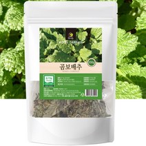 유기농 곰보배추 200g 차용 건재 건강한 차 마시기